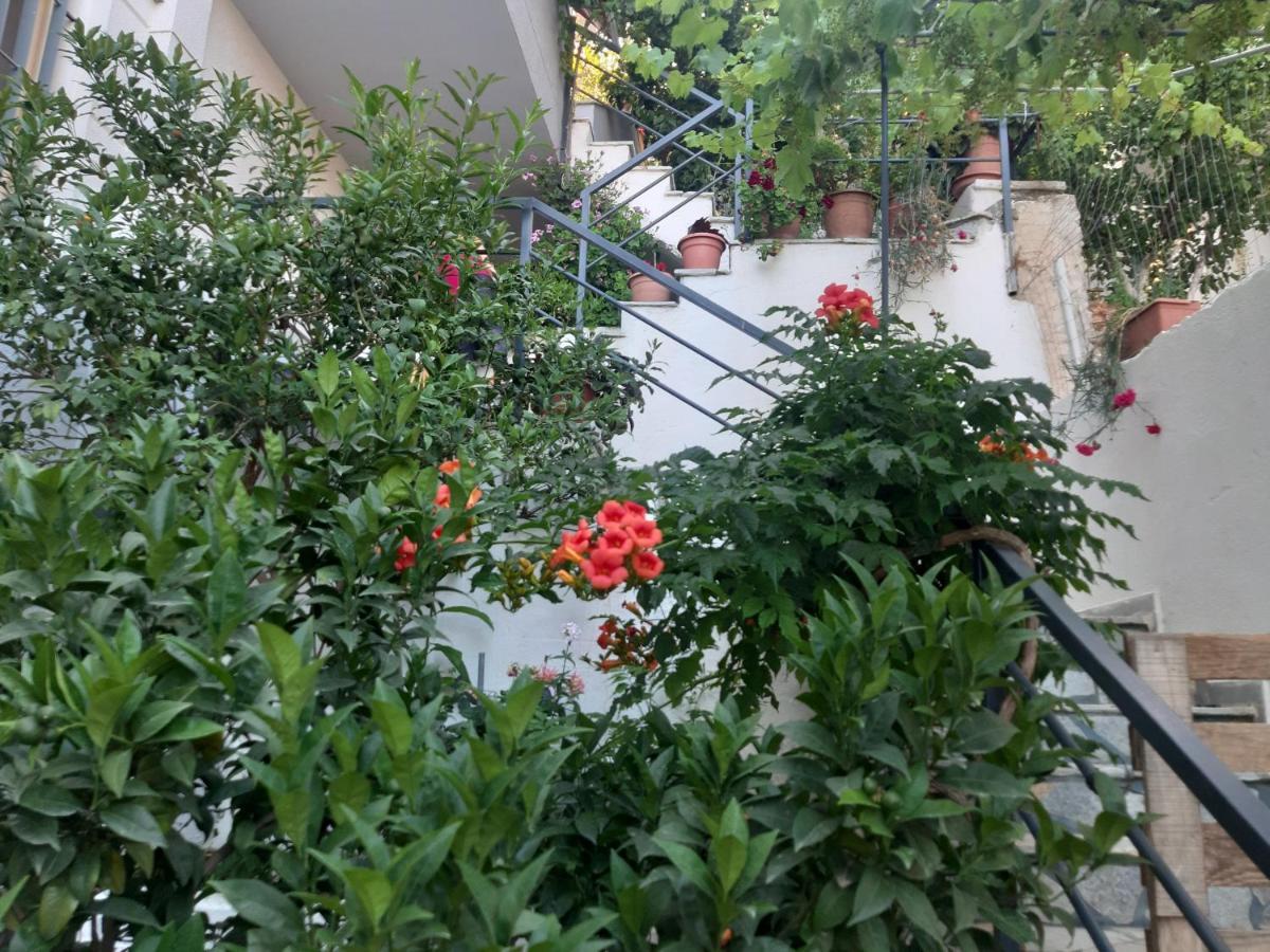 Mane Apartments Sarandë Exteriér fotografie